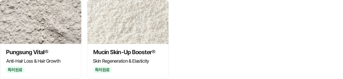 동·식물성 단백질