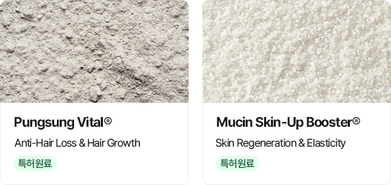 동·식물성 단백질