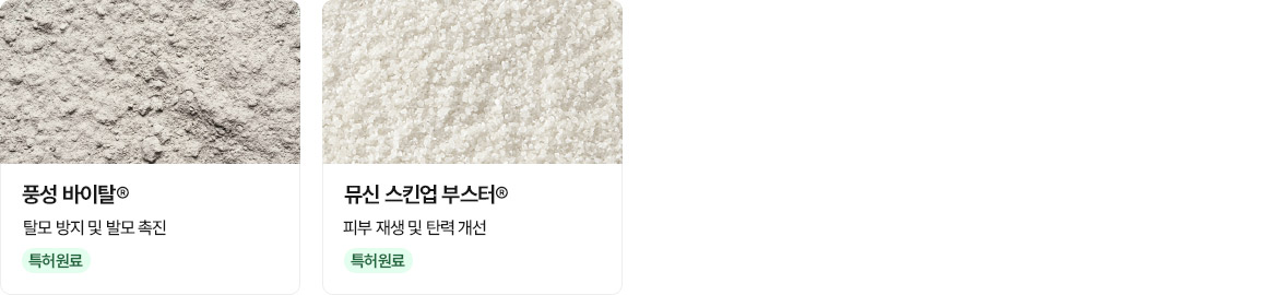동·식물성 단백질