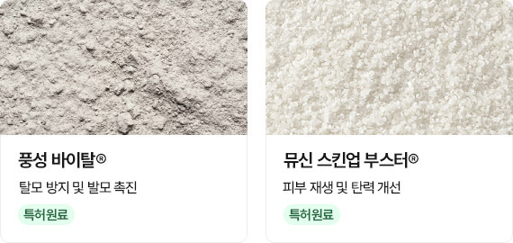 동·식물성 단백질